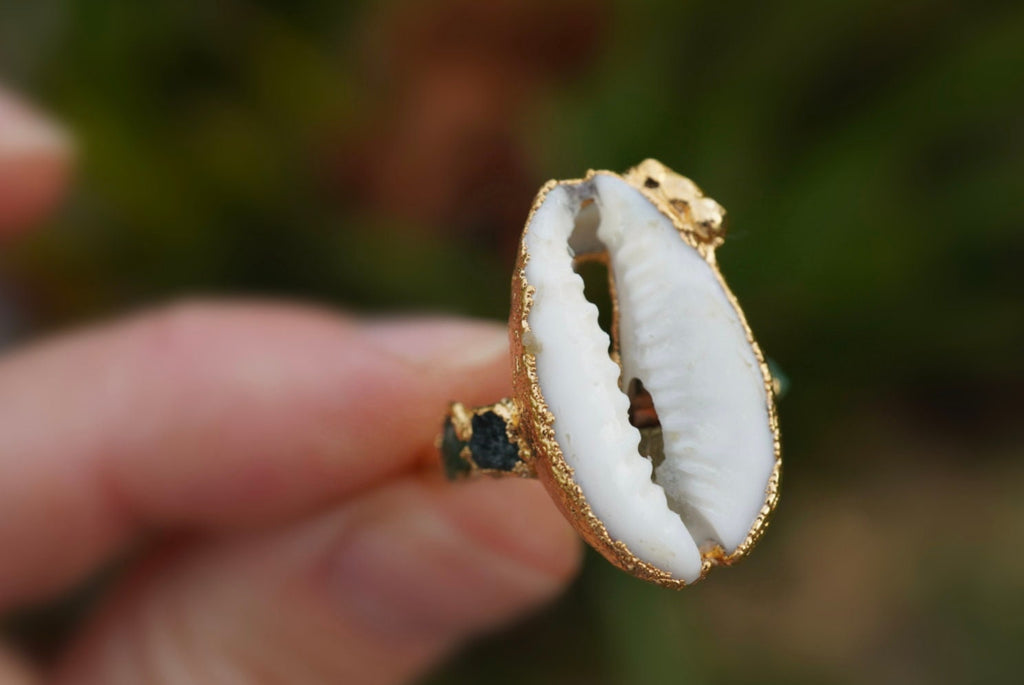 Shell Ring, Cowrie shell ring, cowrie jewelry,  beauty Ring, beauty jewelry, ocean jewelry, shell jewelry, beach lover gift, island jewelry